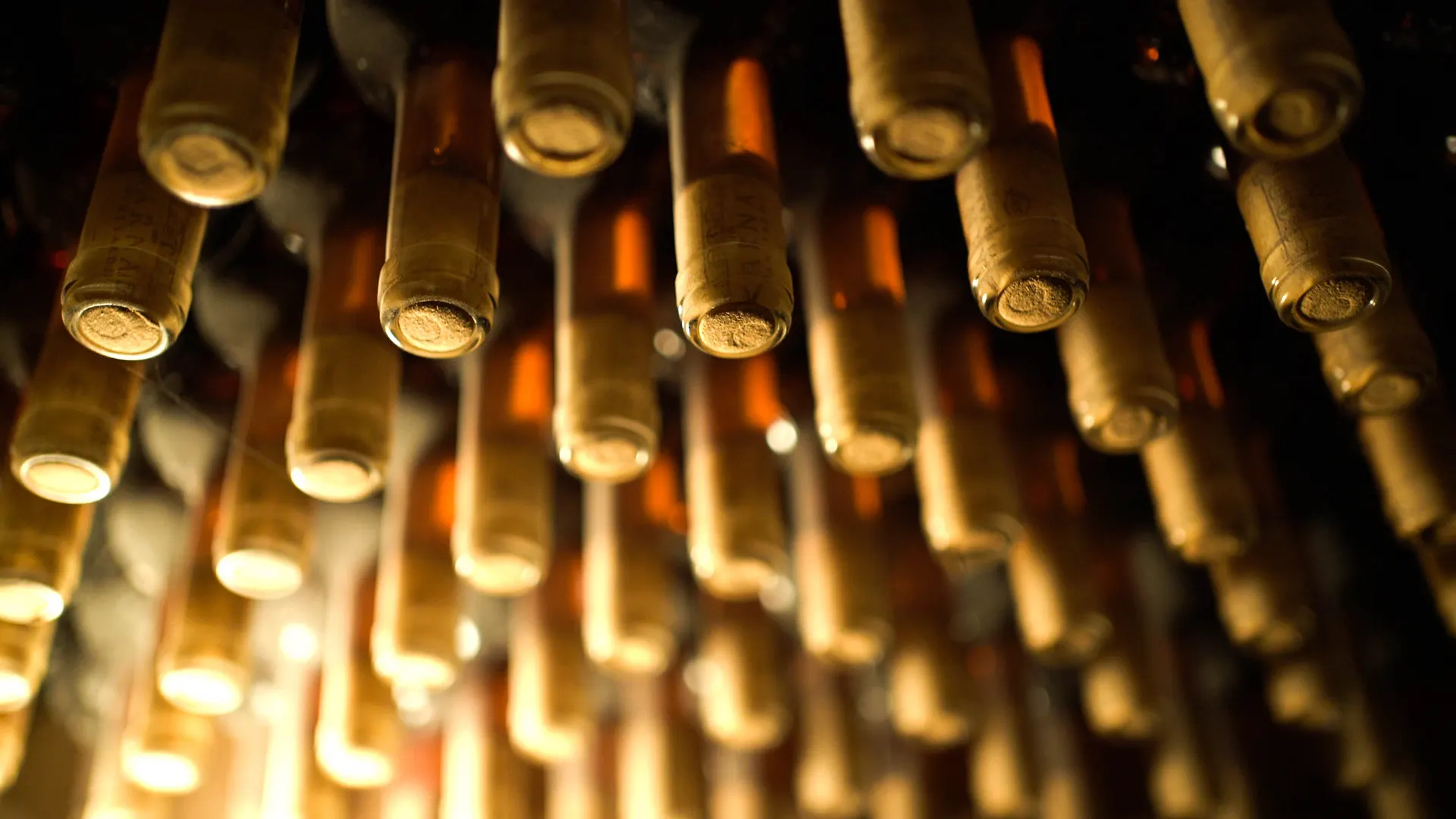 Bottle necks glowing in the cellar