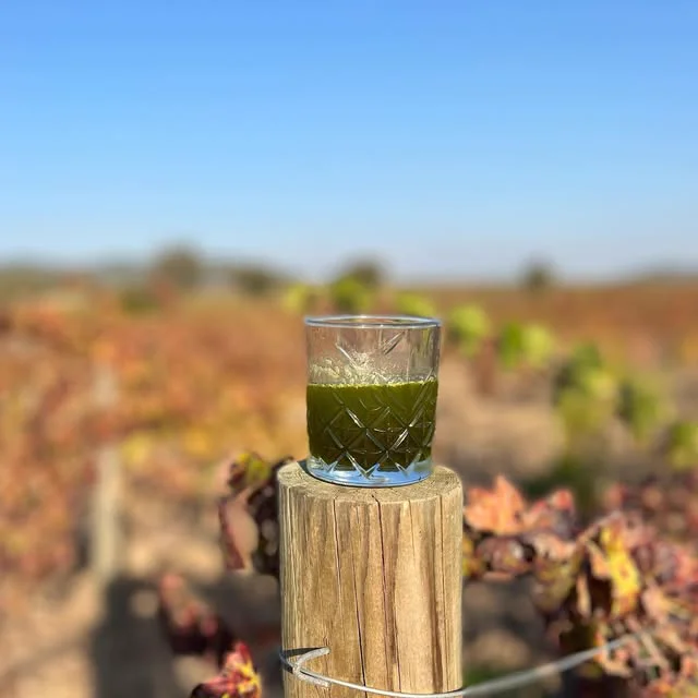 A glass on a post in the autumn vineyard