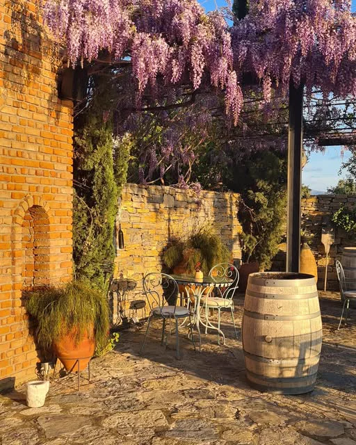 Wisteria over the courtyard