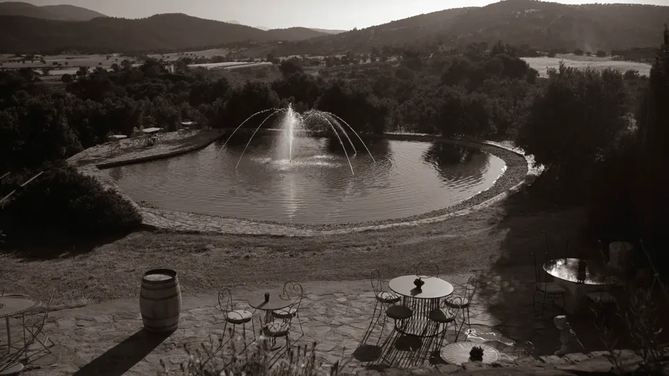 The vineyard pond and its fountain