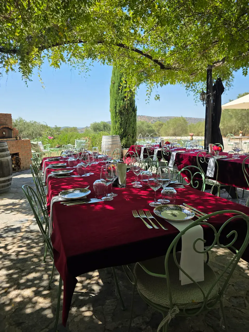Lunch tables set under the vines on the terrace